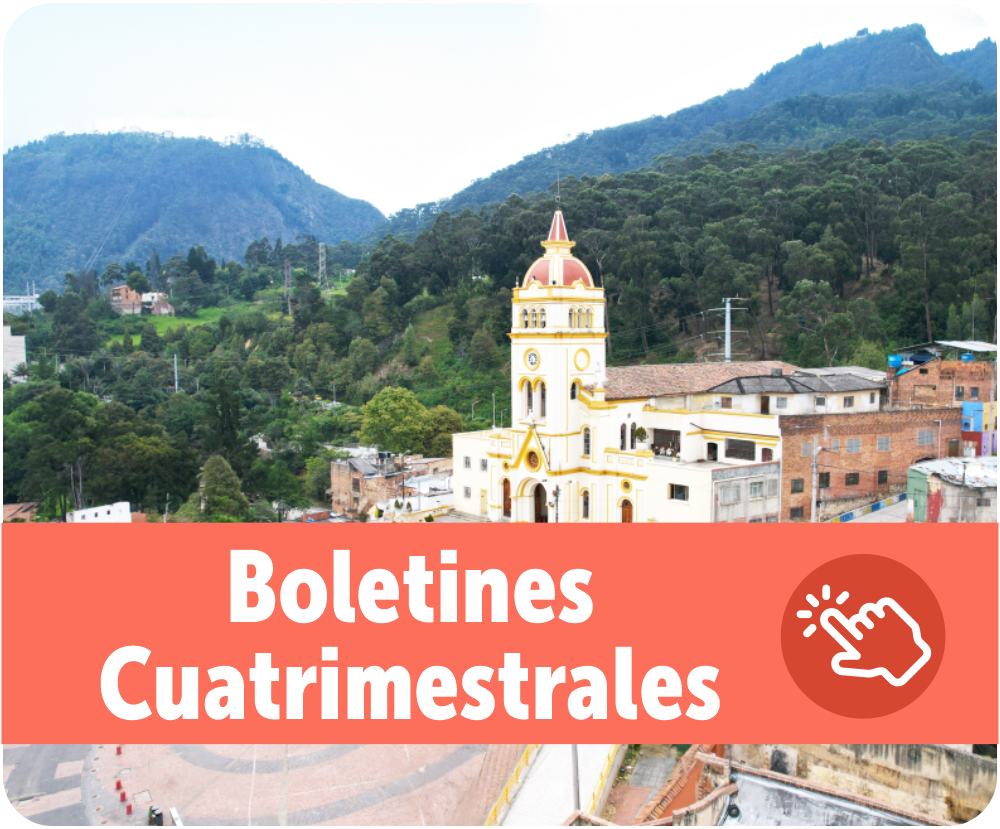 Boletines cuatrimestrales