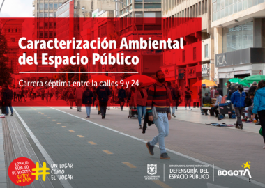 Caracterización ambiental del espacio público ubicado en la Carrera Séptima