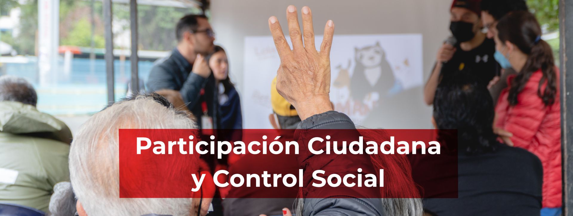 banner participación ciudadana y control social